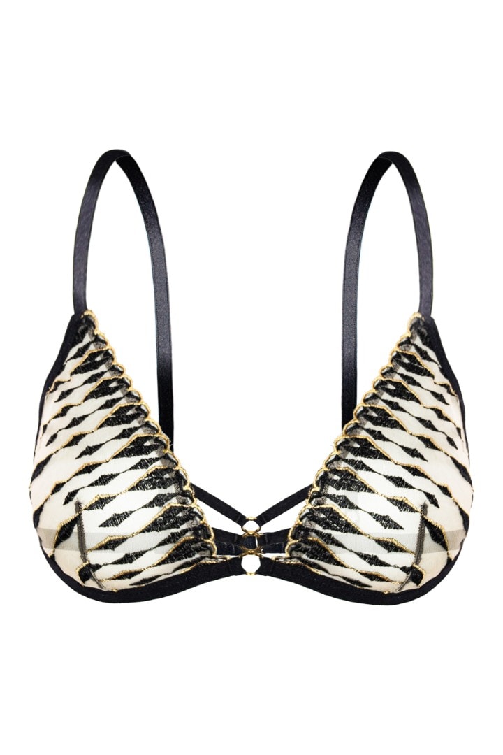 image_e6e2c5cc-f6ee-4e95-bbea-ed56e175bbbe